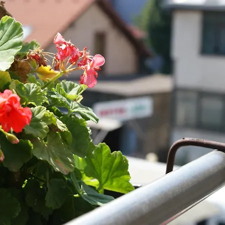 Hotel Ada - Otoka SJJ